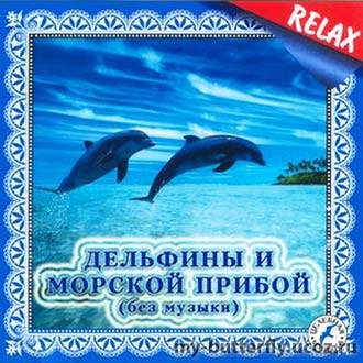 Скачать бесплатно Дельфины и морской прибой (2006)